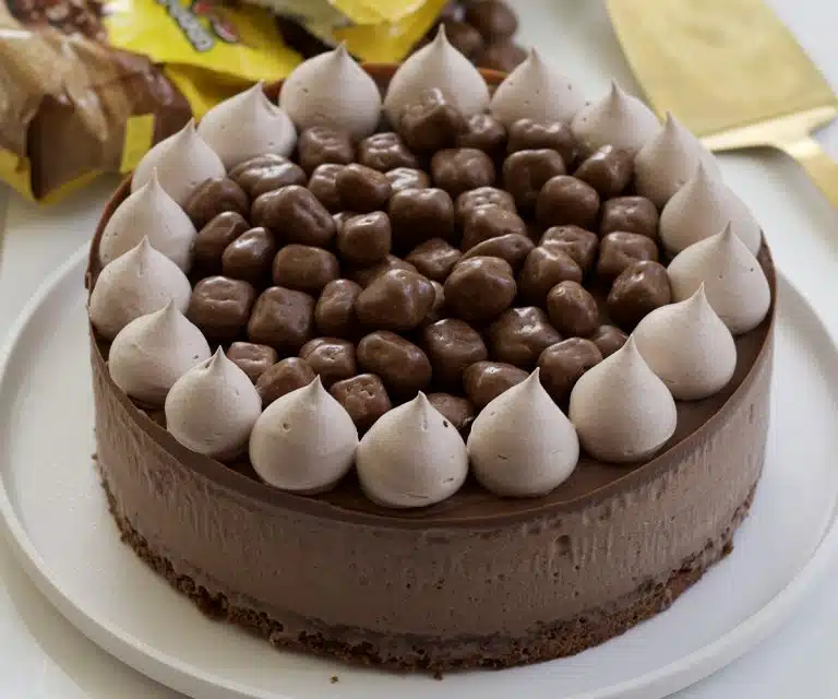 עוגת גלידה פסק זמן