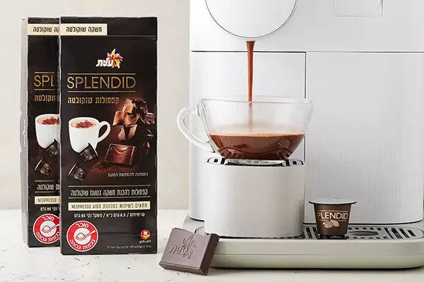 שוקולטה שחיתות עם בייגלה מלוח, גלידת וניל וקצפת, צילום: טל סיון ציפורין