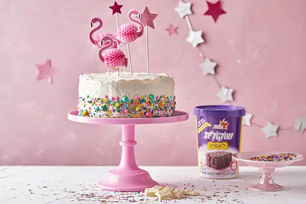 עוגת שוקולית חגיגית