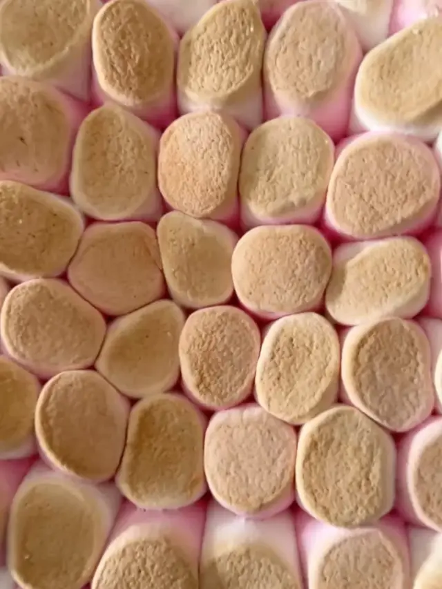 לכבוד יום המשפחה - מתכונים שהכי כיף להכין ולאכול יחד💕
סמורס משפחתי, כדורי שוקולד, חטיף בלונדי ועוד המון מתכונים מחכים לכם עכשיו בסטורי. לא מצאתם? כתבו לנו ונשלח לכם בשמחה